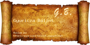 Gyuricza Bálint névjegykártya